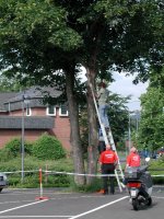Antennen werden befestigt Bild-Aufbau