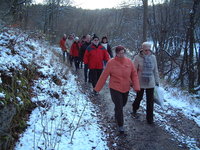 bild7