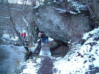 bild8